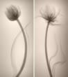 The Georgia O’Keeffe Museum Announces Winners of First Annual...